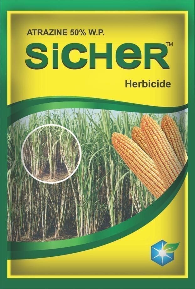 SICHER