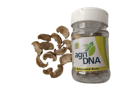 Amla Immunity Cubes 2 Pack Amla Immunity Cubes 2 Pack