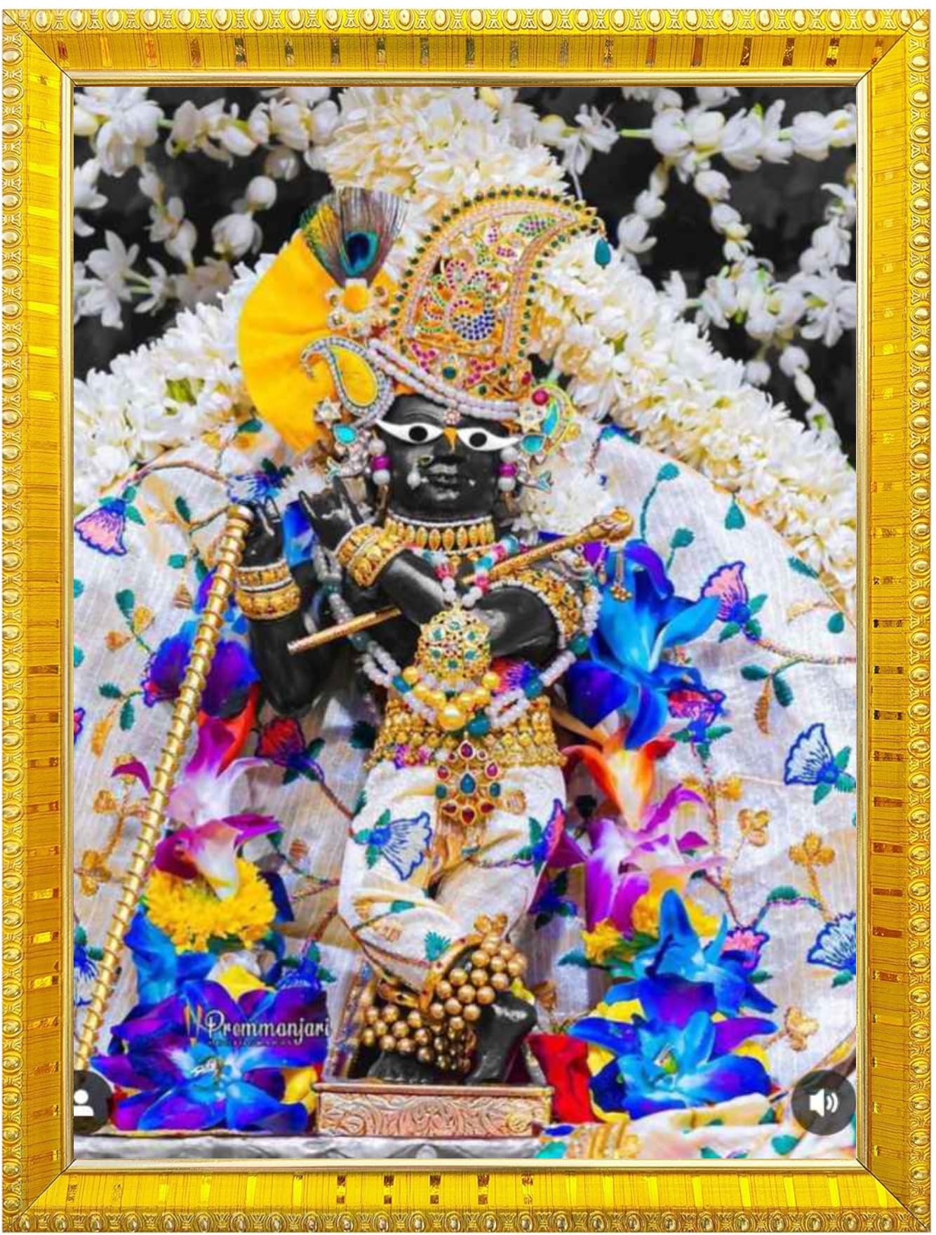 NOKKES Radha Raman Vrindavan Radha Raman Thakur Ji Photo Frames Religious Photo frame 5X7 Inch Photo Frame_QWW58
