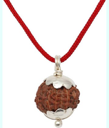 Astrodidi 10 Mukhi Rudraksha With Pendant With Lab Certificate (Rudraksha Size Approx 15 Mm Small Size)