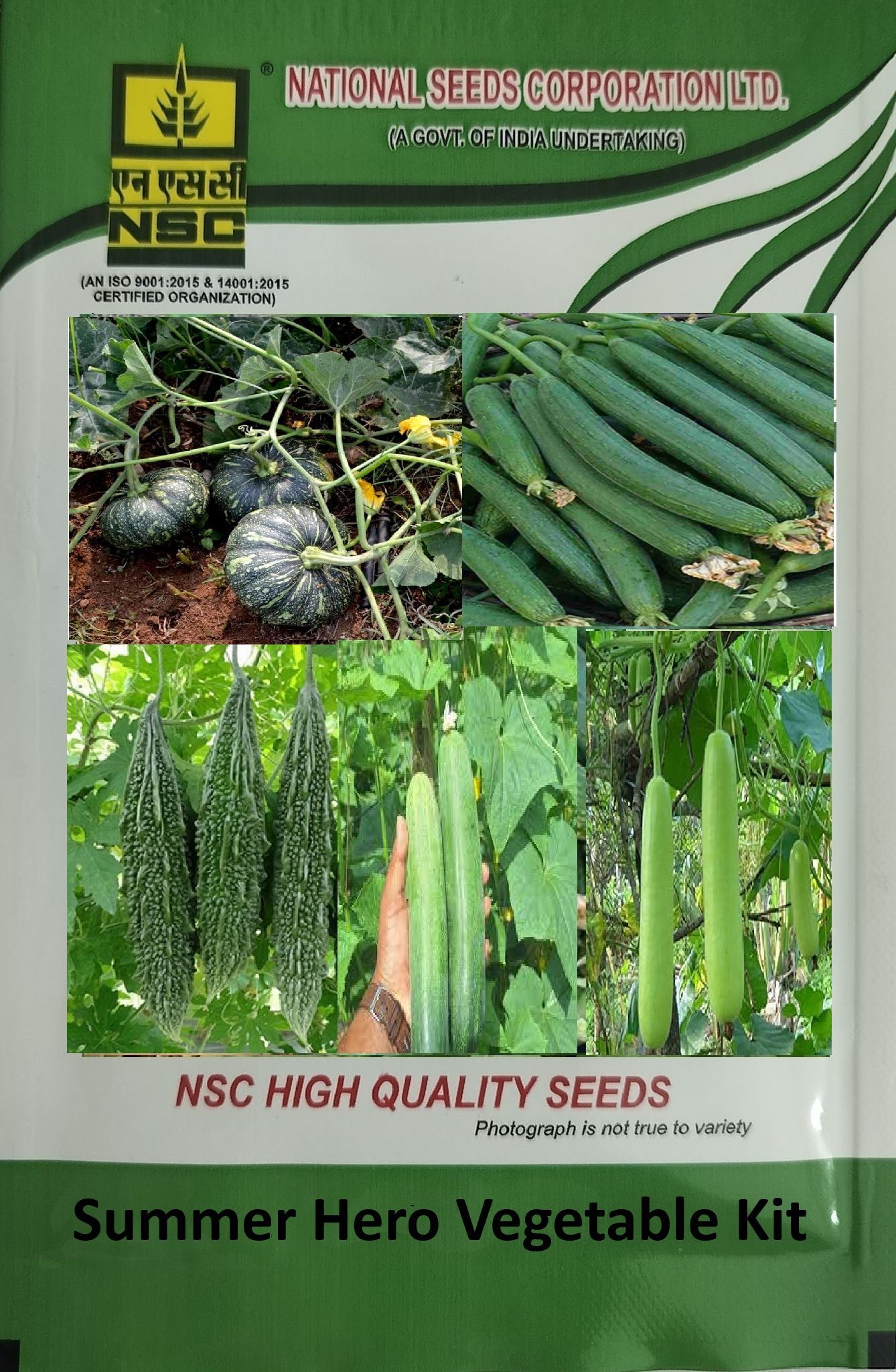 NSC Summer Hero Vegetable Kit + One Tool Item
