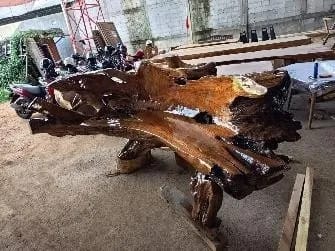 ROOT BENCH
