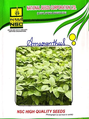 NSC-AMARANTHUS-ARKA SUGUNA-250 GMS SEEDS
