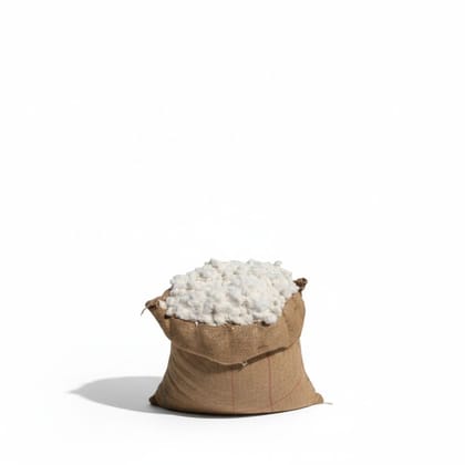 Premium Quality Raw Cotton Fiber - 20 kg - One jute bag of raw cotton