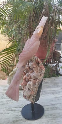 Rose Quartz Macaw Sculpture - Aventurine, Sodalite & Apophyllite Stand