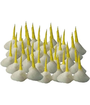 SHIVSHAKTI Diya Ghee Diya Batti ( Pack of 1 )