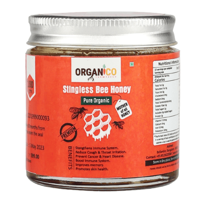 Organico Stingless Bee Honey 100 Gms