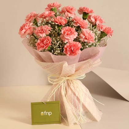 Love For Pastel Pink Carnations Bouquet Love For Pastel Pink Carnations Bouquet