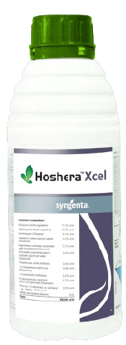 HOSHERA XCEL