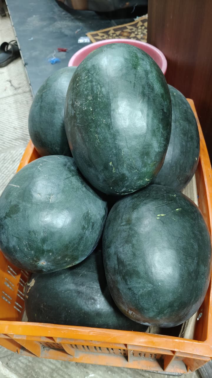 Watermelon     2 KG