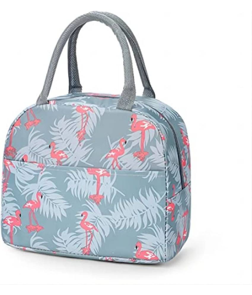 FSN - Multicolor Fabric Lunch Bag