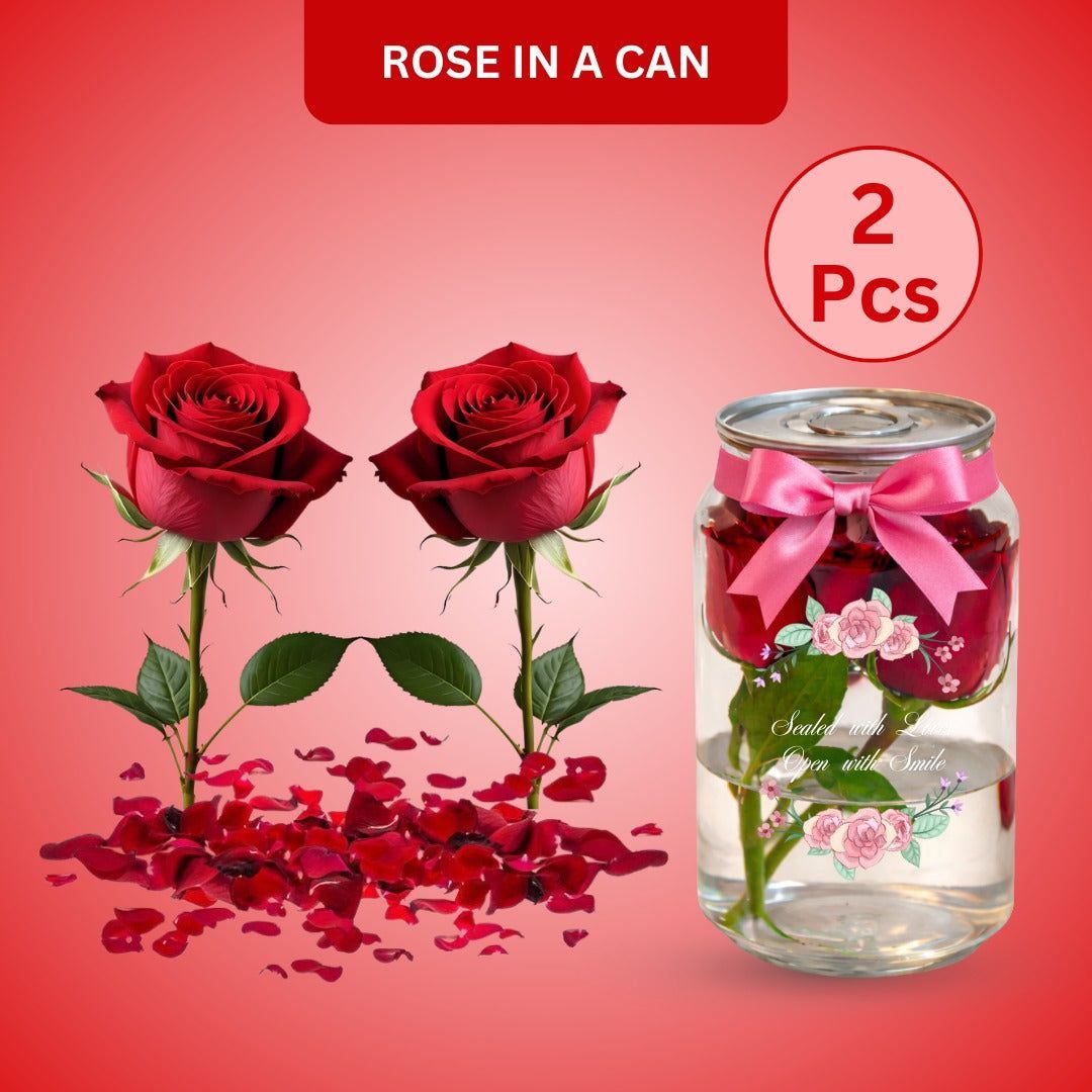 Fresh Roses in a Can - Set of 2  - Send Real Roses Across India