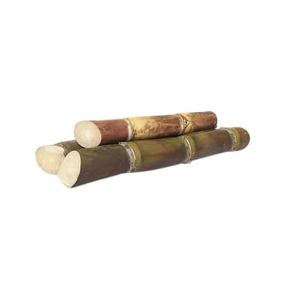 Agrify Fresh Whole Sugarcane - Black (Cut in 3 Pcs) 1 Pc