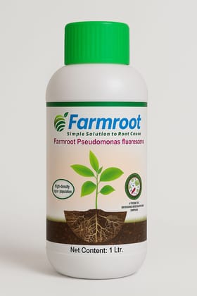 FARM PSEDOMONOUS FLUORESCENS - 1*10 Lt FARM PSEDOMONOUS FLUORESCENS - 1*10 Lt