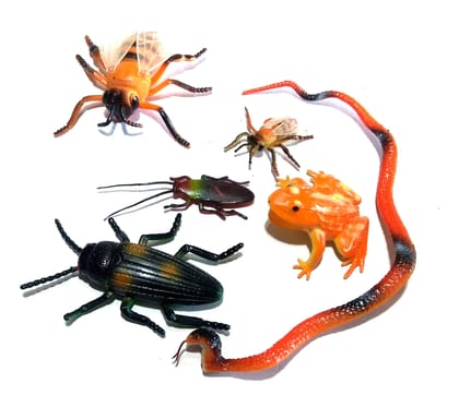 Nawani Natural World Insects and Reptiles Toy Figure Set for Kids,Pack of 6 Nawani Natural World Insects and Reptiles Toy Figure Set for Kids,Pack of 6
