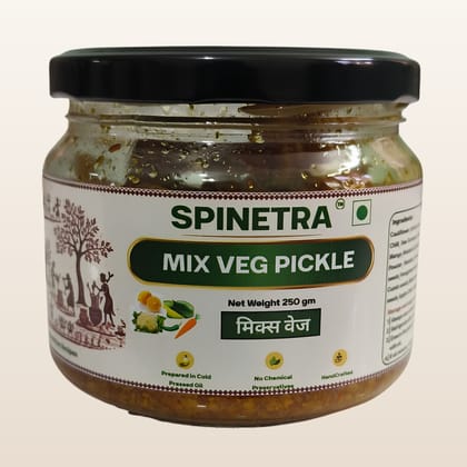 Mix Veg PICKLE