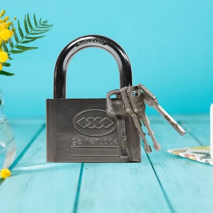 Locking Solutions and Systems 7675 Padlock Sherlock Lock
