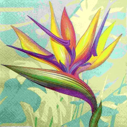 Decoupage Napkin / Tissue papers - DGT1910