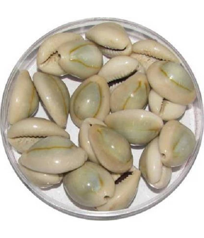 Shri Astha Vinayak Kowdi 21 ( Pack of 21 )