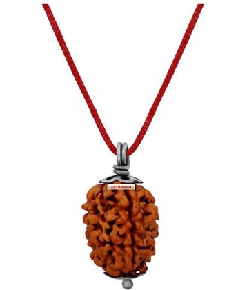 Astrodidi 3 Mukhi Rudraksha With Lab Certified