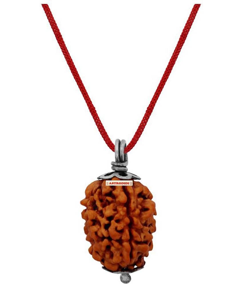 Astrodidi 3 Mukhi Rudraksha With Lab Certified
