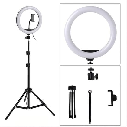 Ring Fill Light 12 Inches with Stand, Temperature, USB Powered (HX-260)