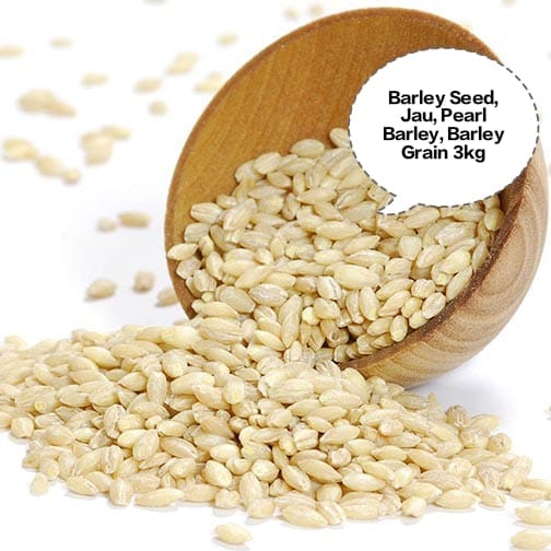 Barley Seed, Jau, Pearl Barley, Barley Grain, Jau Dana 3kg