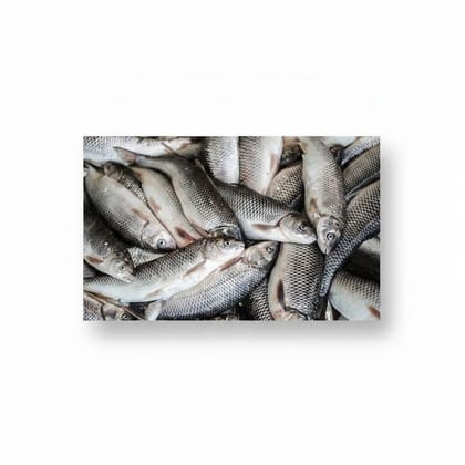Fresh Raw Whole Fish - 1 kg - One kilogram pack of fresh whole fish