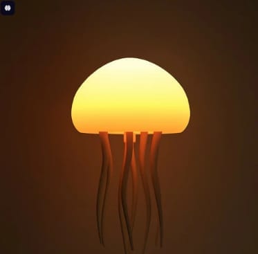 Jellyfish Lamp - Unique & Artistic Decorative Lighting