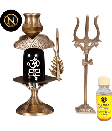 NAVYAKSH Brass Shivling Idol ( 9 cm )