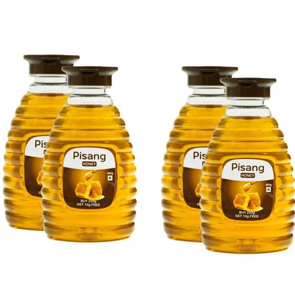 Pisang Honey Squeezy| 100% Pure|No Sugar Adulteration| Rich In Vitamins|Cold And Cough Relief| Immunity Booster| 520G (260GX4 Pack) | BUY 2 GET 2 FREE