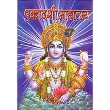 Ekadashi mahatam Katha (एकादशी महातम कथा:) [Paperback] Mahamaya publication– 1 January 2020
