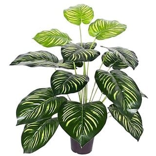 De Gardenia Large Artificial Tree with Dual Shade Big Leaves - Decorative Floor Plant for Home Office and Indoor Garden (Height: 63 cm Potted 12 Leaves)