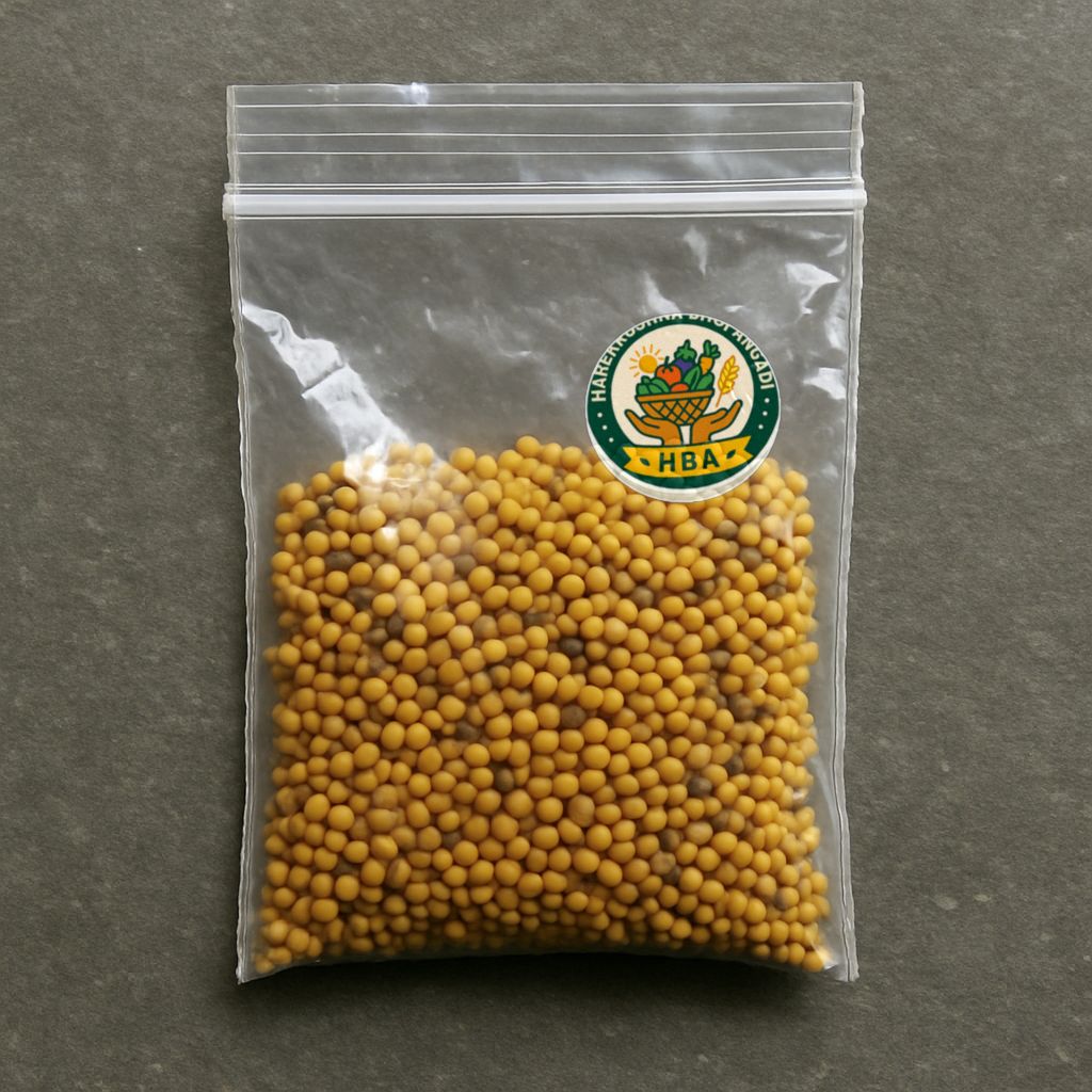 Harekrushna Bhoi Angadi's mustard seeds