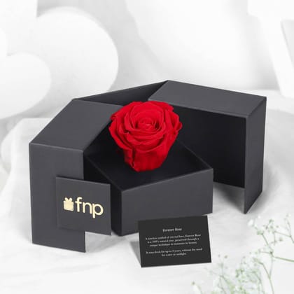 FNP Forever Red Rose - Preserved Rose Flower - Timeless Romantic Gift for Valentines Day & Anniversaries FNP Forever Red Rose - Preserved Rose Flower - Timeless Romantic Gift for Valentines Day & Anniversaries