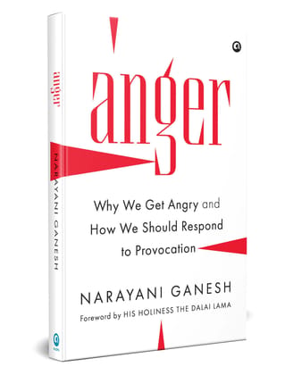 Anger: Why We Get Angry and How We Should Respond to Provocation Anger: Why We Get Angry and How We Should Respond to Provocation