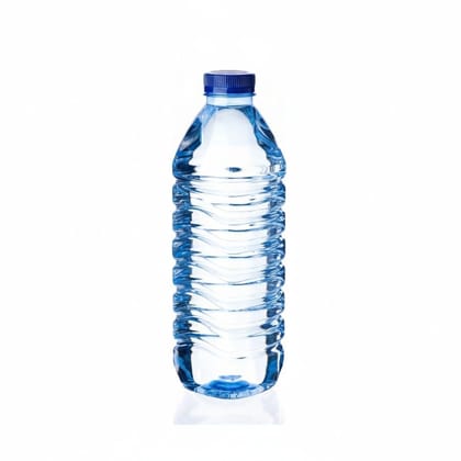 Packaged Drinking Water - 600 gm - One plastic bottle