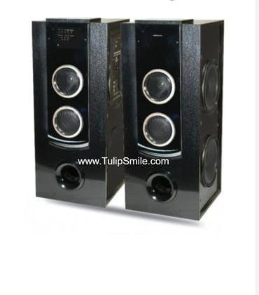 Cemex 12000 BT DJ Party Tower speaker | BT | USB | AUX | FM