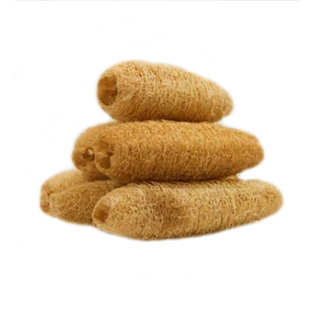 ATNAYAJ Unisex Organic Loufah/Loofah Sponge Body Scrubber, Chemical Free, Eco Friendly (Pack of 5)