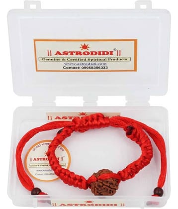 Astrodidi 6 Mukhi Six Face Rudraksha Bracelet
