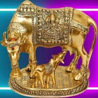 ... ...
