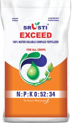 EXCEED -1KG