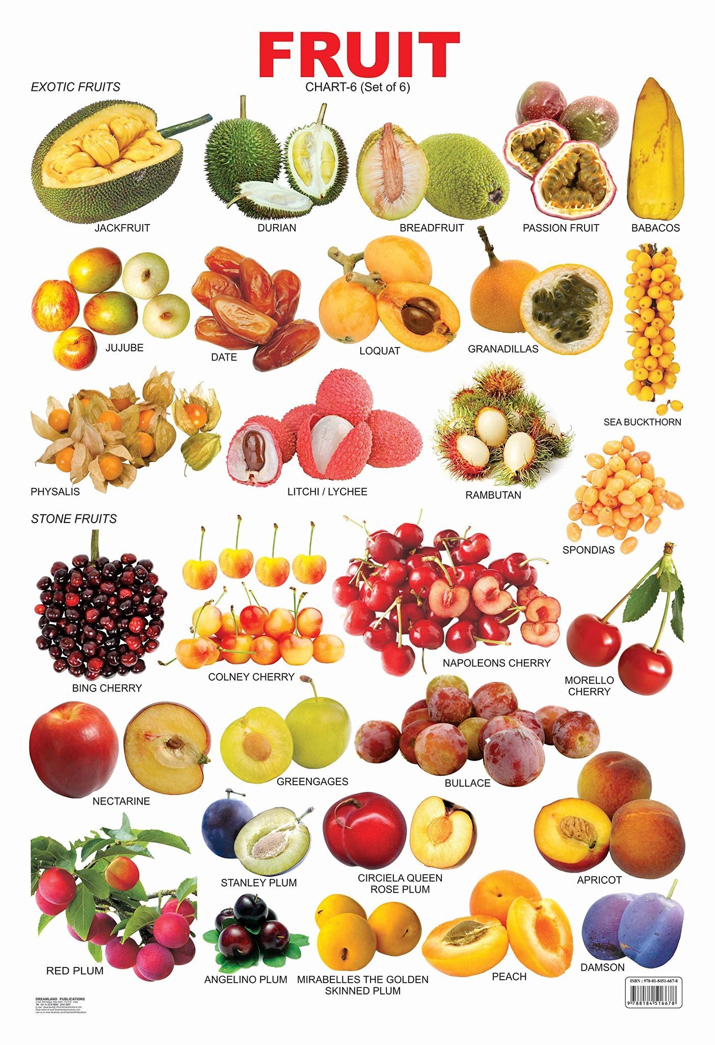 Fruit Chart - 6 Educational Wall Chart For Kids - Both Side Hard Laminated (Size 48 x 73 cm) [Paperback] Dreamland Publications