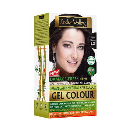 INDUS VALLEY Damage Free Natural Gel Hair Colour for Women | Ammonia & PPD Free Organic Hair Colour with 100% Grey Coverage, Long Lasting Conditioning Hair Color | Black 1.00-220 ml INDUS VALLEY Damage Free Natural Gel Hair Colour for Women | Ammonia & P