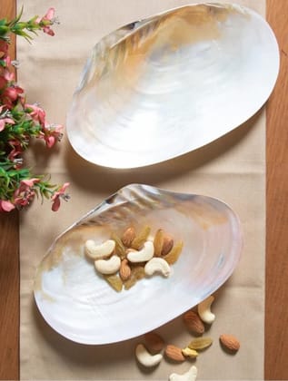 Handmade Sea Shell Serving Platter Tray, Mother of Pearls Serving Platters, Decorative Sea Shell Tray, Size- 9.5X6 Inch (2 pcs) Handmade Sea Shell Serving Platter Tray, Mother of Pearls Serving Platters, Decorative Sea Shell Tray, Size- 9.5X6 Inch (2 pcs)