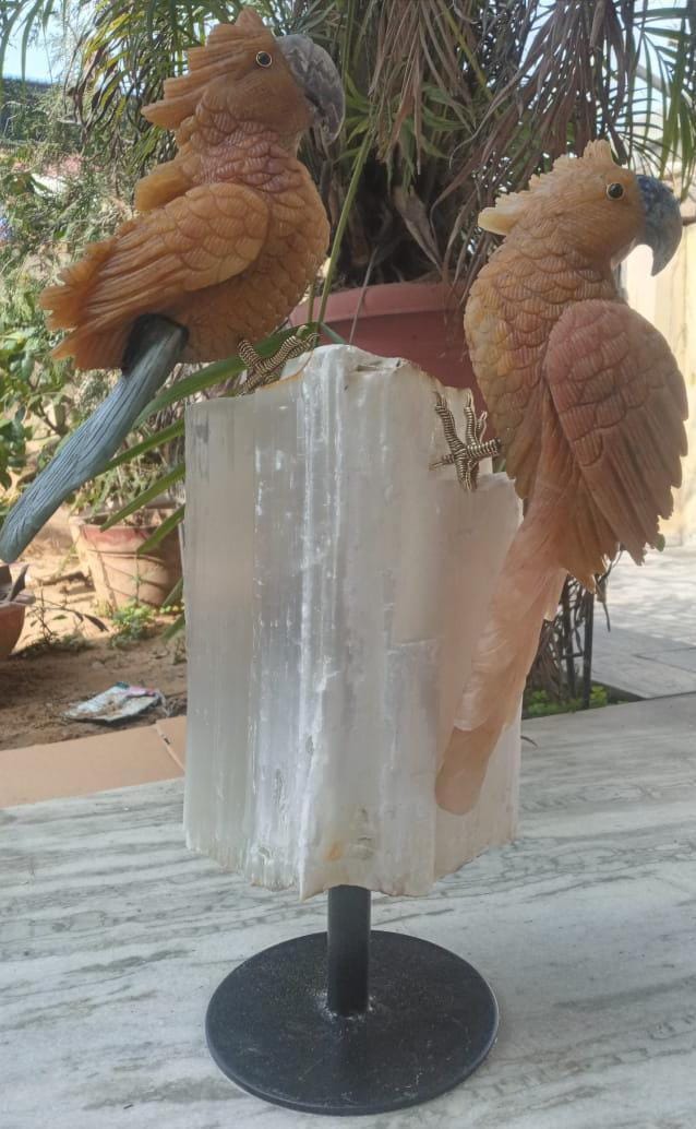 Yellow Aventurine Parrot Pair on Selenite Stand - Sodalite Accents, Handcrafted