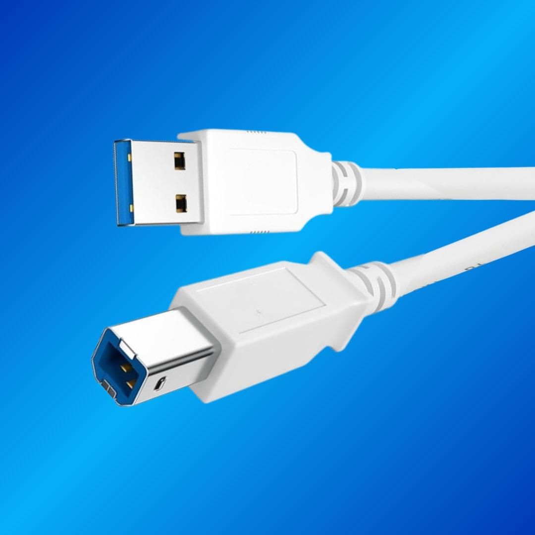 Champion USB Printer Cable, USB A Male to B Male For Canon, Dell, Epson, HP Printers and Scanners