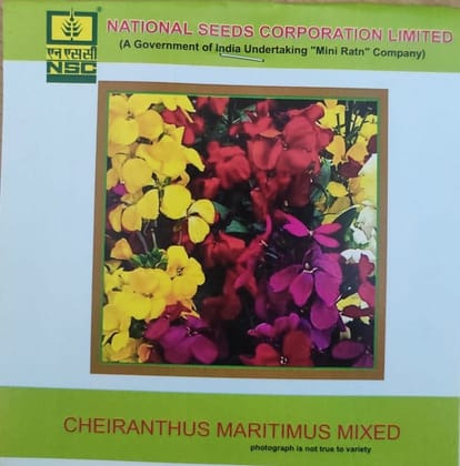 NSC Cheiranthus Maritimus Mixed Flower Seed