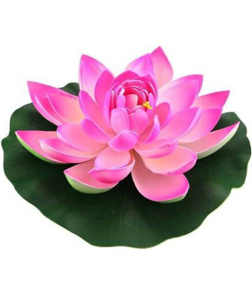 Home Adhya Lotus Pink Floating Flowers - Pack of 1