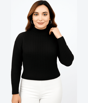 FEVERFEW Women Woollen Round Neck Pullover ( Brown )